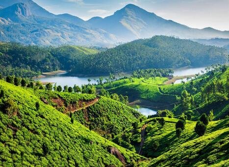 Ooty to Munnar