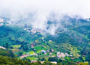 Ooty